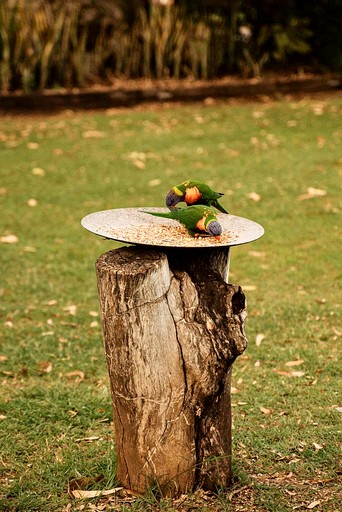 Tiny Houses (Australia, Eidsvold, Queensland)