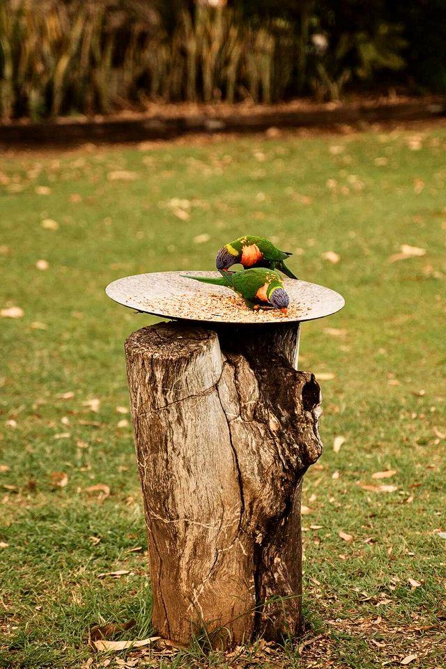 Spectacular Tiny House in Eidsvold, Queensland