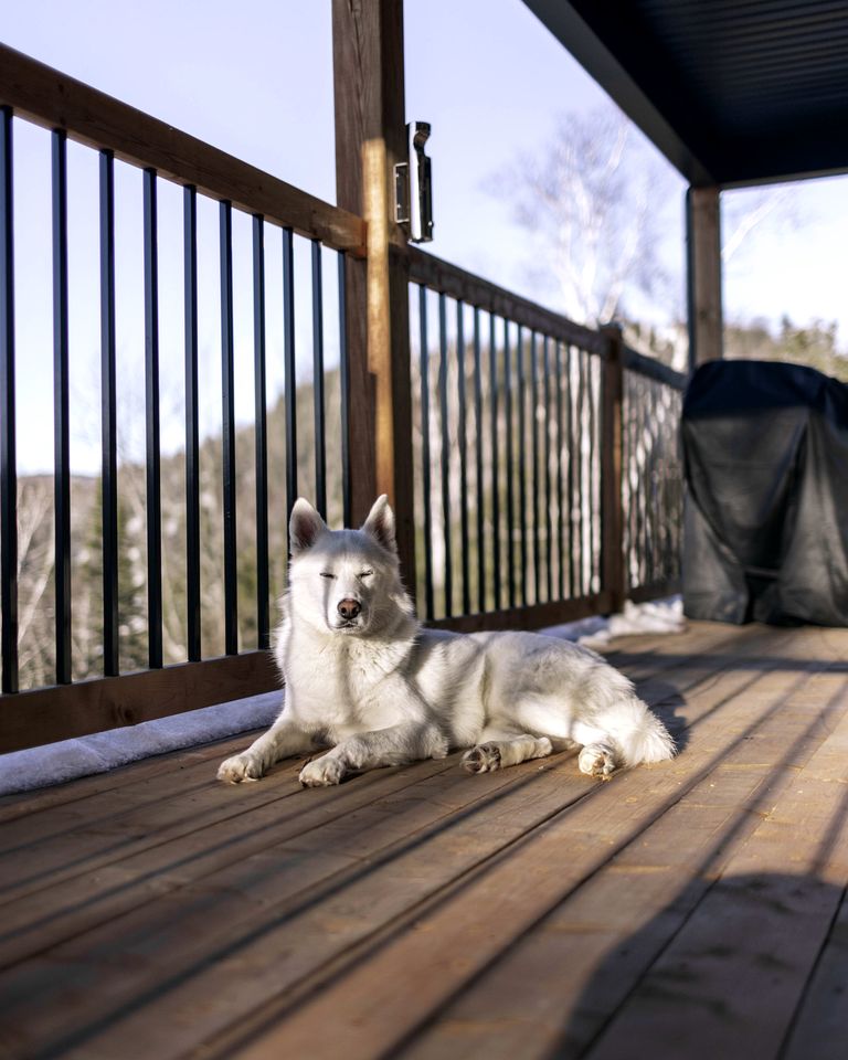 Spectacular Villa with Incredible Outdoor Fully Equipped and Game Room in Saint Come, Quebec