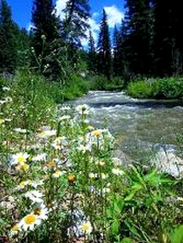 Nature's Oasis: Riverside Glamping Getaway in the Heart of New Mexico