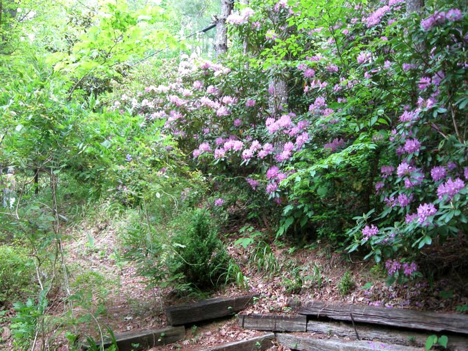 Cabins (Erwin, Tennessee, United States)