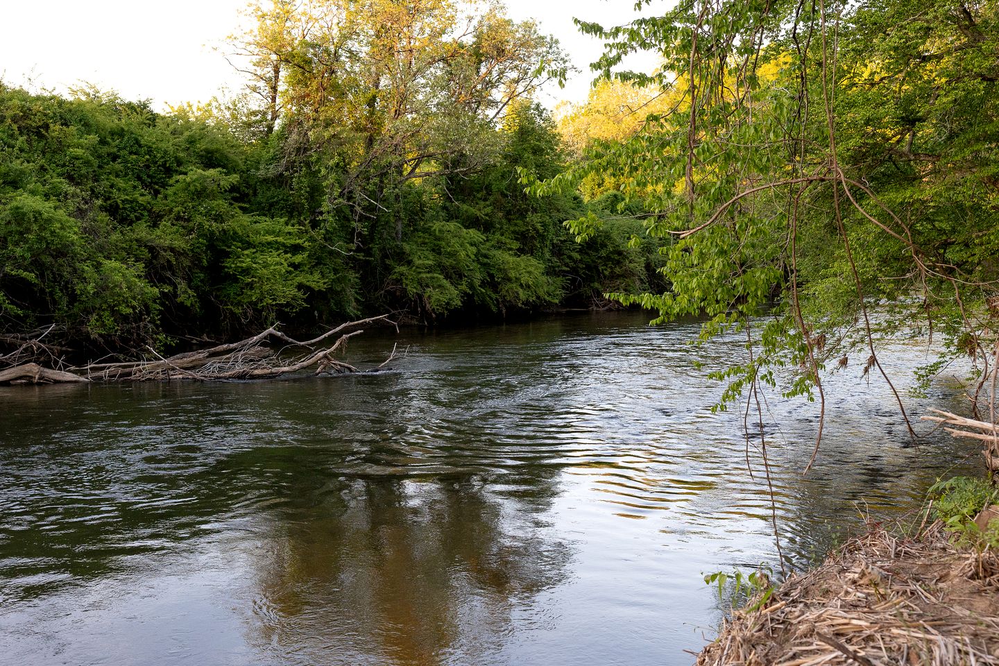 Splendid Airstream Beautifully Design in Pisgah Forest, North Carolina
