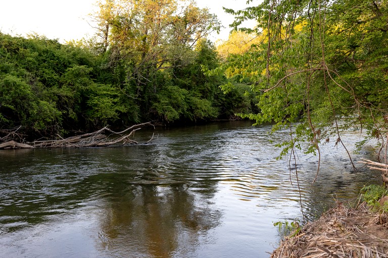 Airstreams (United States of America, Pisgah Forest, North Carolina)