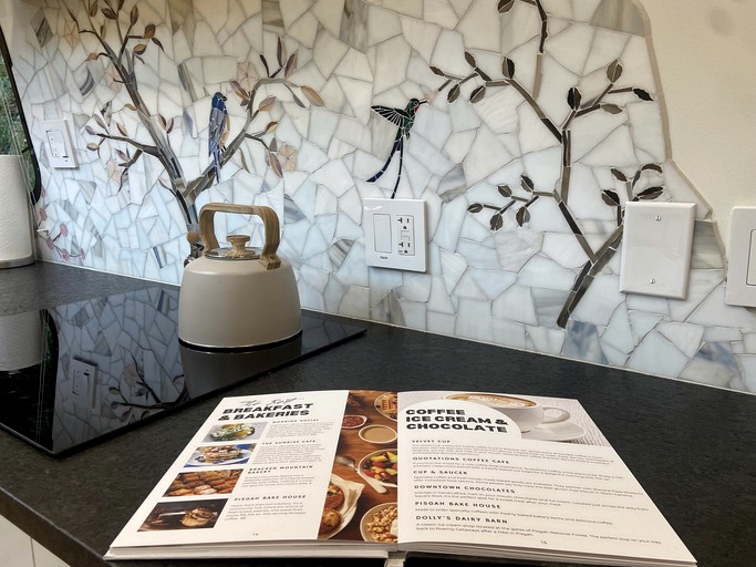 Airstreams (United States of America, Pisgah Forest, North Carolina)