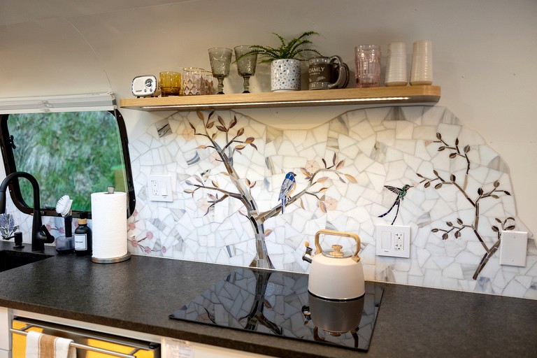 Airstreams (United States of America, Pisgah Forest, North Carolina)