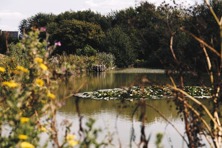 Cabins (United Kingdom, Walberton, England)