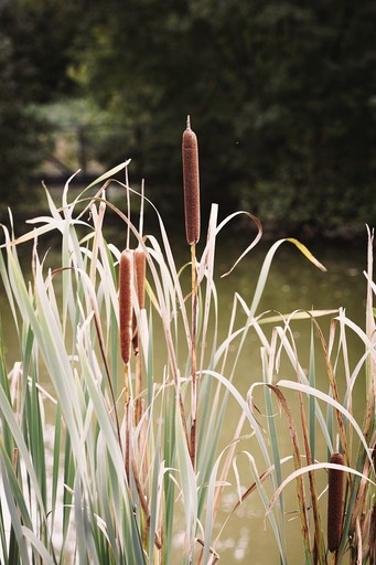Cabins (United Kingdom, Walberton, England)