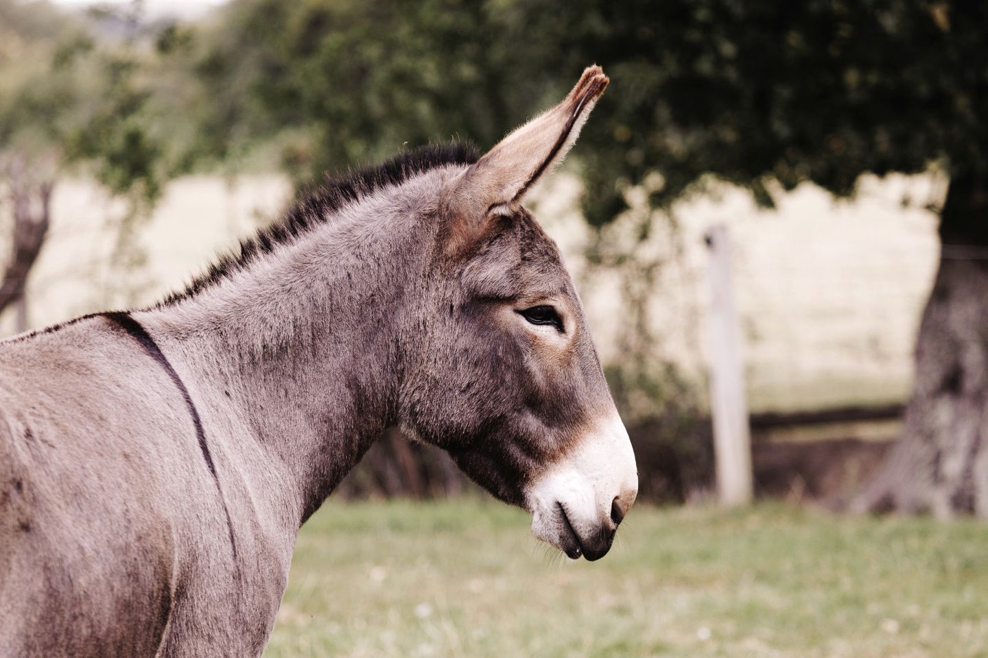 Splendid Cozy Cabin with Breathtaking Indoor and Outdoor in UK