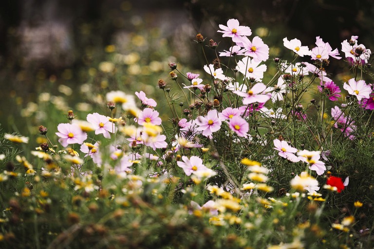 Cabins (United Kingdom, Walberton, England)