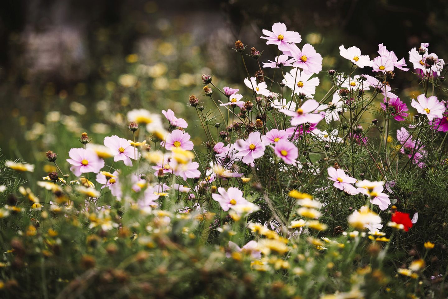 Splendid Cozy Cabin with Breathtaking Indoor and Outdoor in UK