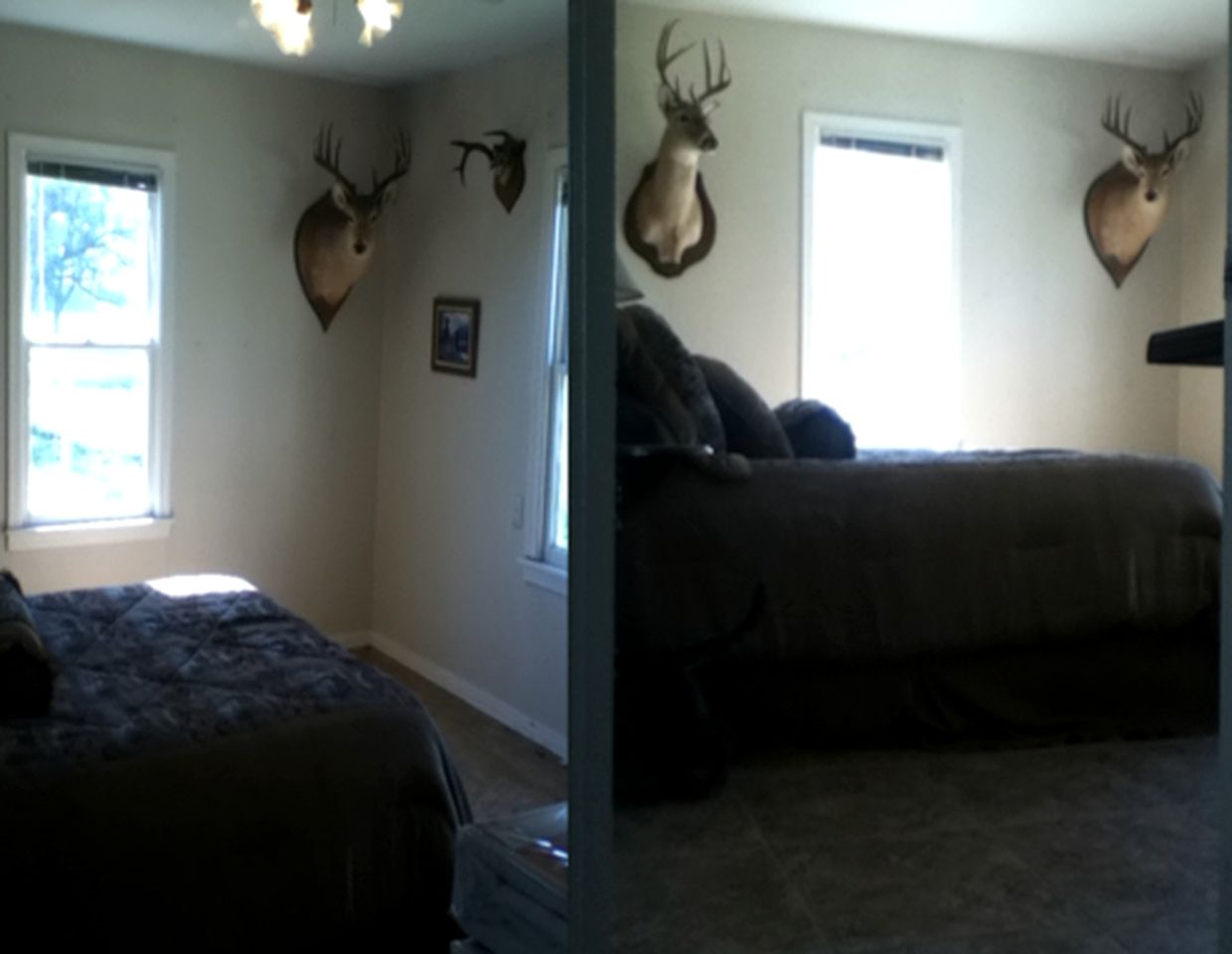 Authentic Ranch Cabin Rental with Meadow Views in Christoval, Texas