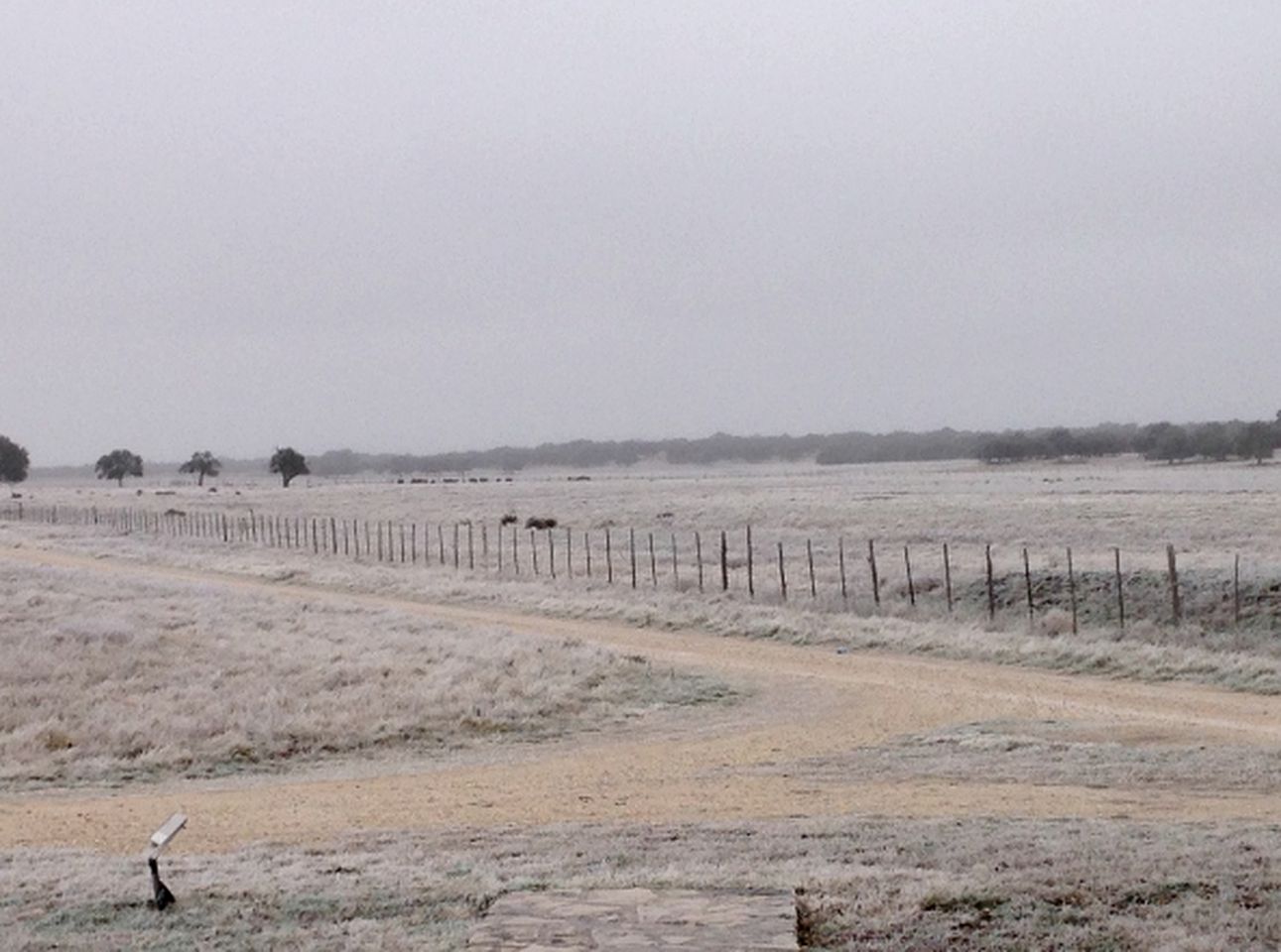 Authentic Ranch Cabin Rental with Meadow Views in Christoval, Texas