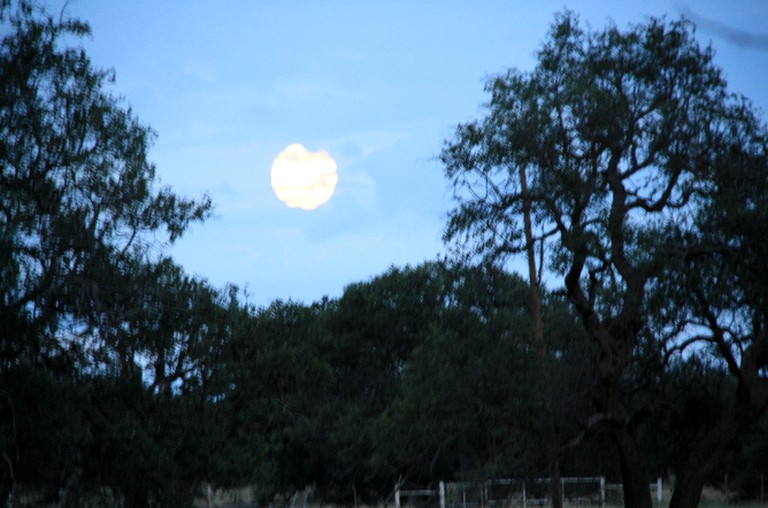 Cabins (Christoval, Texas, United States)