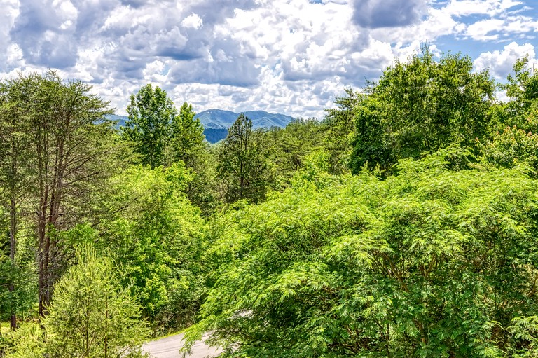 Cabins (United States of America, Sevierville, Tennessee)