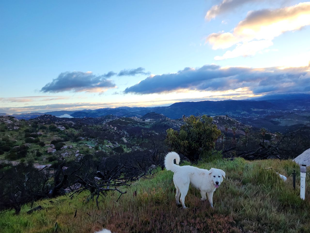 Enchanting Dome Escape – Unique 1BR Stay in Fallbrook, CA