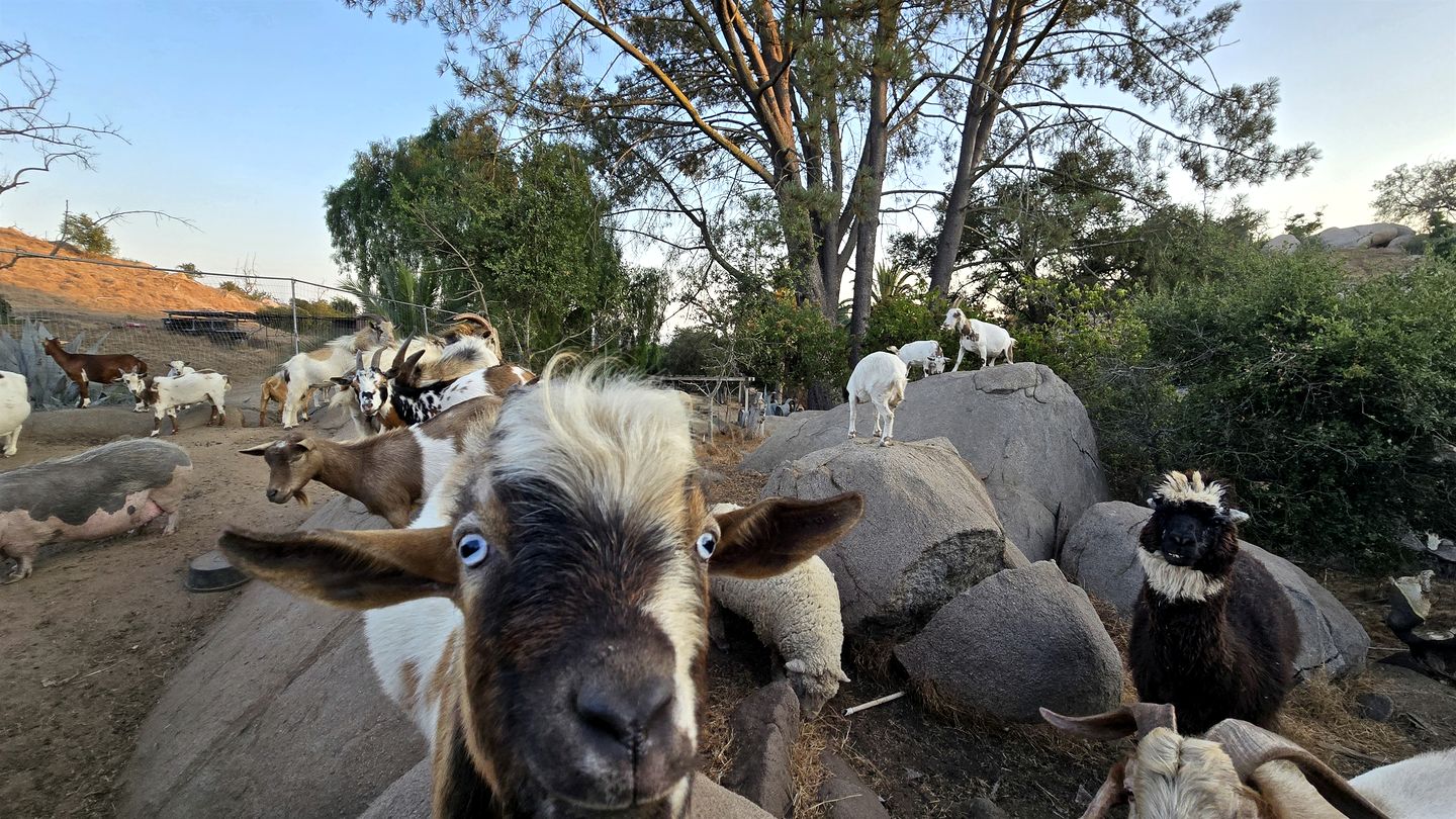 Luxurious Dome on Farm with Impressive Views at Splitrock Valley, California
