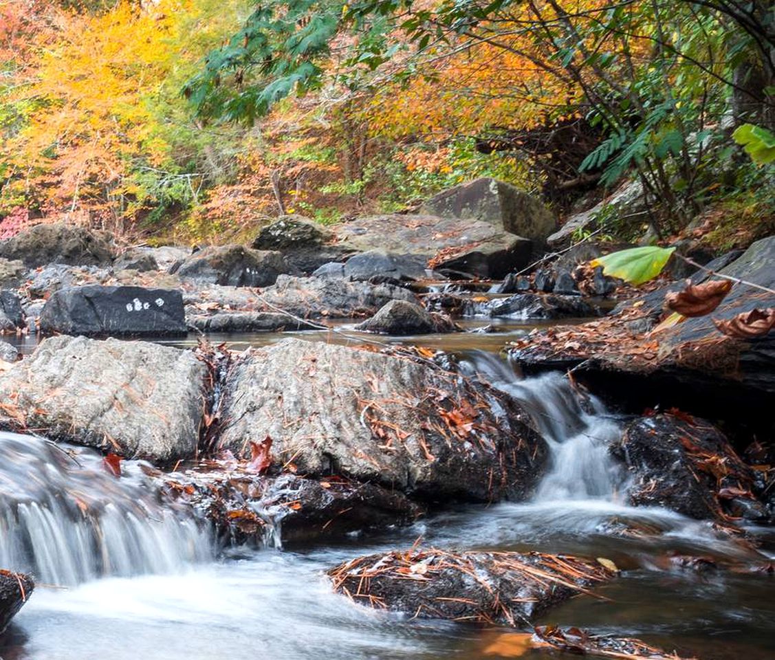 Delightful Vacation Rental for Group Getaway in Polk County, Tennessee