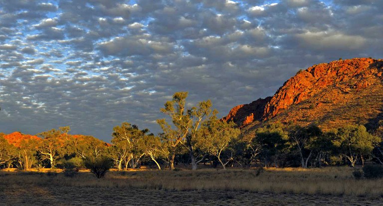 Tented Cabins (Alice Springs, Northern Territory, Australia)