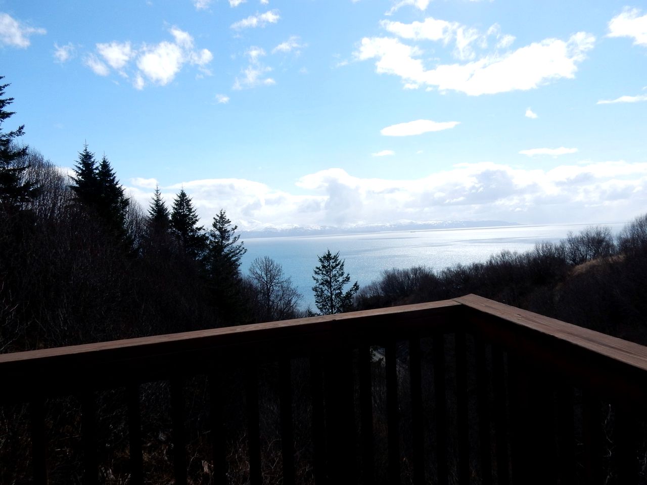 Rustic Cabin Rental with Gorgeous Bay Views in Homer, Alaska