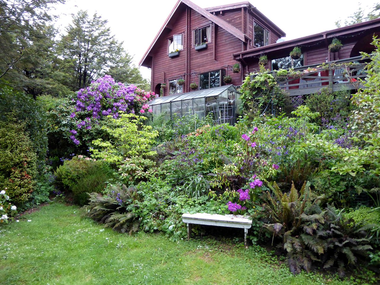 Rustic Suite Rental in St. Arnaud, New Zealand