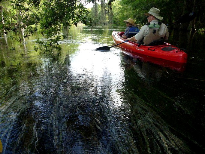 Pet Friendly Cabin Rental Tallahassee Florida Glamping Hub