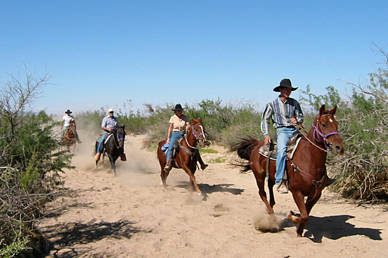 Caravans (Yucca, Arizona, United States)