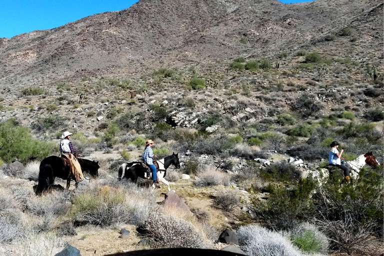 Caravans (Yucca, Arizona, United States)