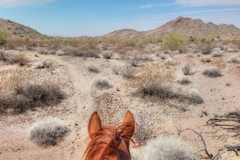 Nature Lodges (Yucca, Arizona, United States)