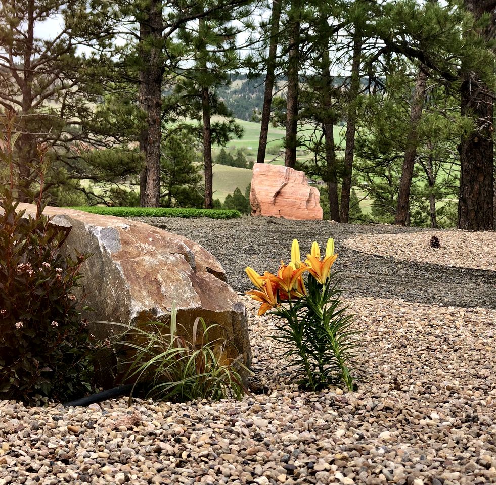 Amazing Dome with Incredible Forest Vistas in Hermosa, South Dakota