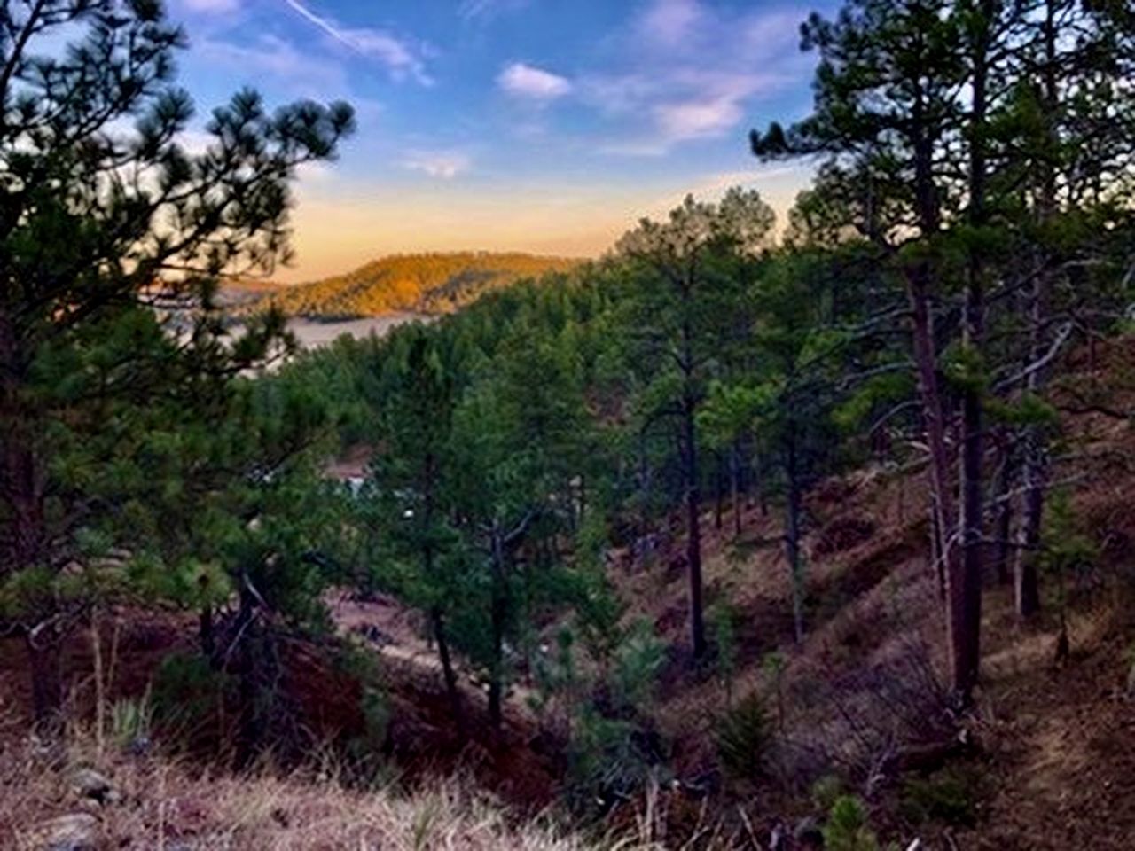 Amazing Dome with Incredible Forest Vistas in Hermosa, South Dakota