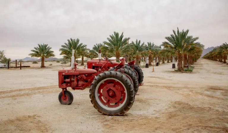 Vacation Rentals (United States of America, Wellton, Arizona)