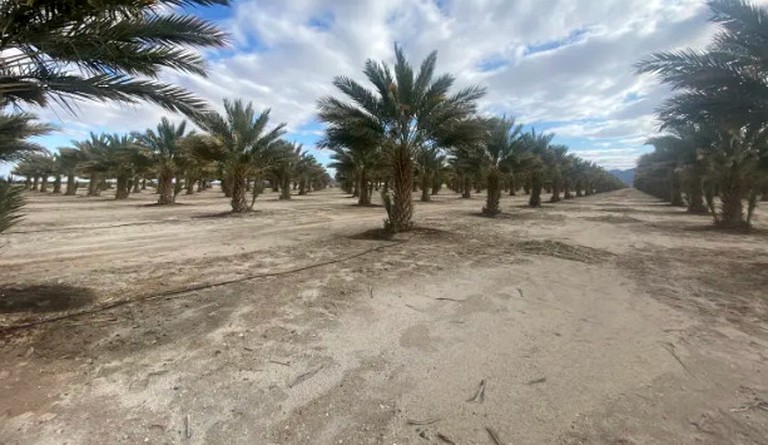 Vacation Rentals (United States of America, Wellton, Arizona)