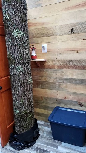 Tiny Houses (United States of America, Grandview, Tennessee)