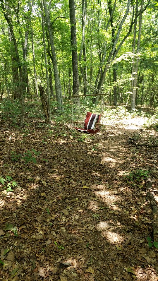 Secluded Forest Cabin with Clear Roof for Stargazing near Watts Bar Lake – Grandview, TN