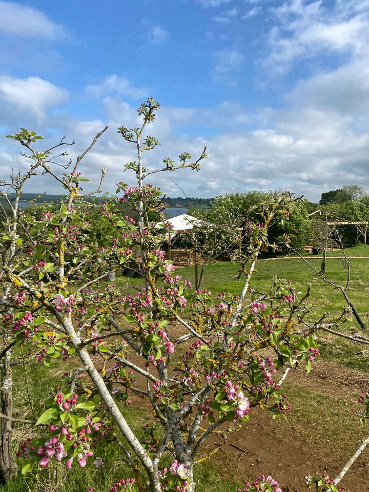 Vibrant Lakeside Bell Tent Paradise near Rutland Water in Rutland
