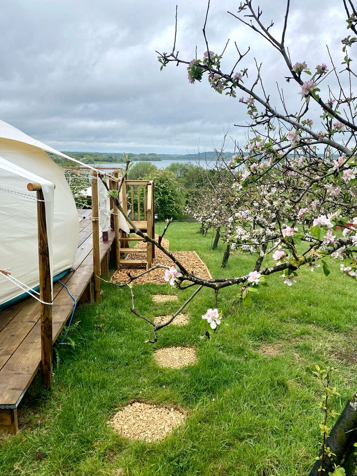 Vibrant Lakeside Bell Tent Paradise near Rutland Water in Rutland