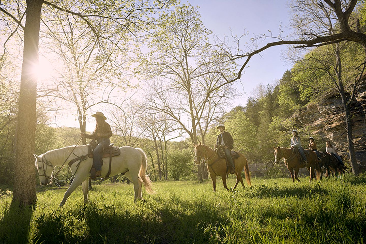 Celestial Glamping Bell Tent Oasis Near Sinking Creek, Missouri