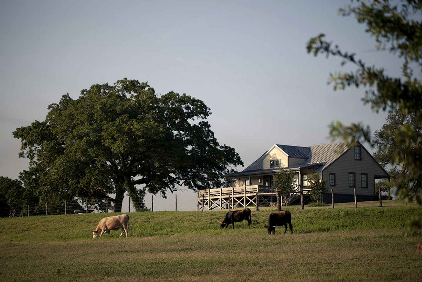 Spacious Luxury Getaway at Restored Ranch Cabin Rental near Austin, Texas