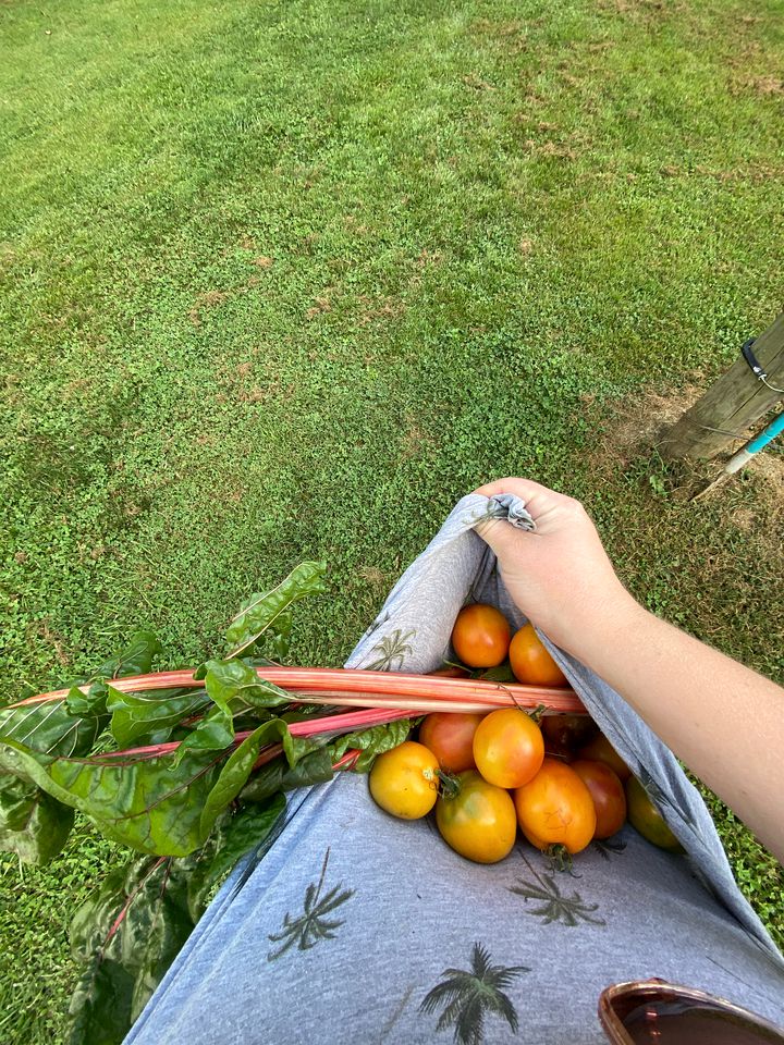 Impressive Barn Suite with Hot-tub and Petting Zoo in Sugar Grove, North Carolina