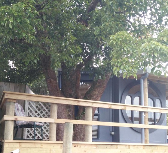 Cabins (Waikino, North Island, New Zealand)