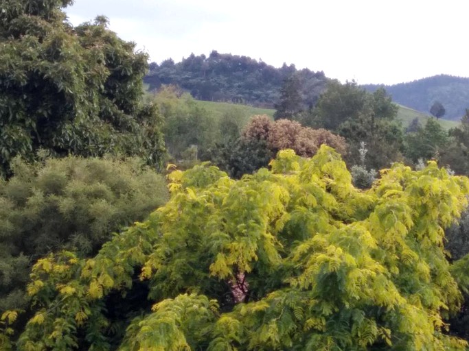 Cabins (Waikino, North Island, New Zealand)