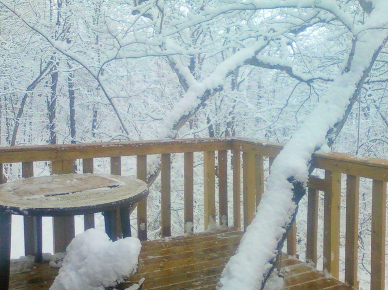 Tree House Shawnee National Forest, Illinois Glamping Hub