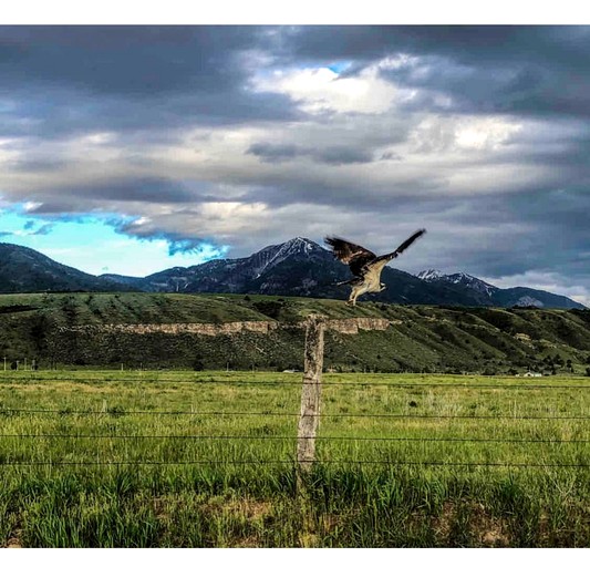 Tiny Houses (United States of America, Irwin, Idaho)