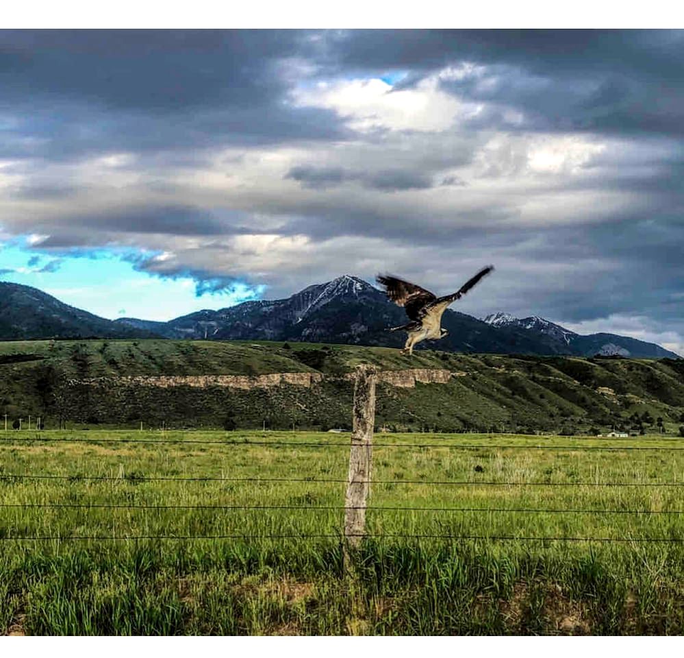 Unique Steampunk Tiny House Rental in Swan Valley, Idaho near Jackson Hole