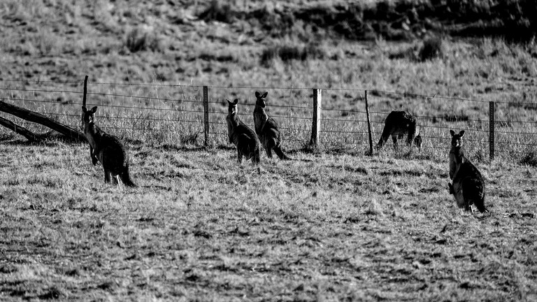 Tiny Houses (Australia, Warrenmang, Victoria)