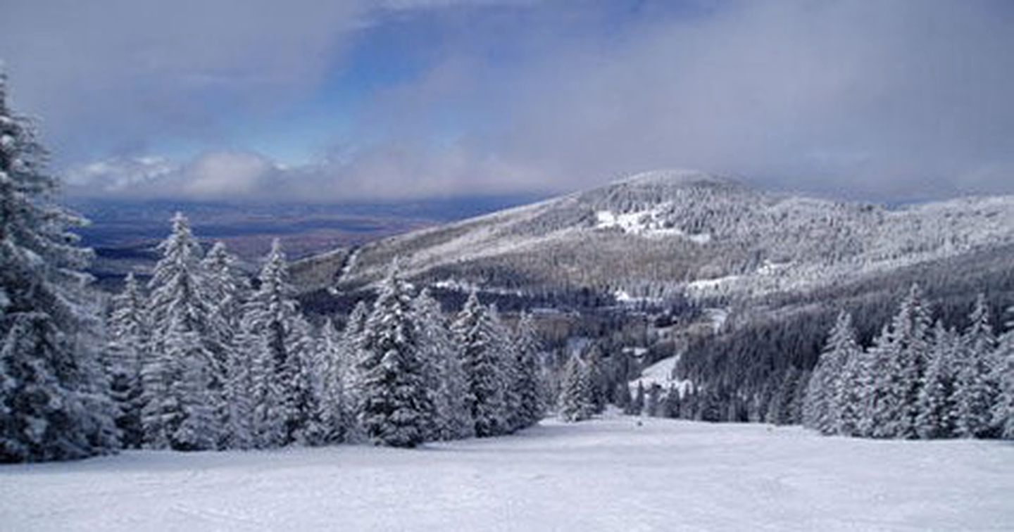 Modern Ski Yurt Rental near the Trujillo Meadows Reservoir in Colorado