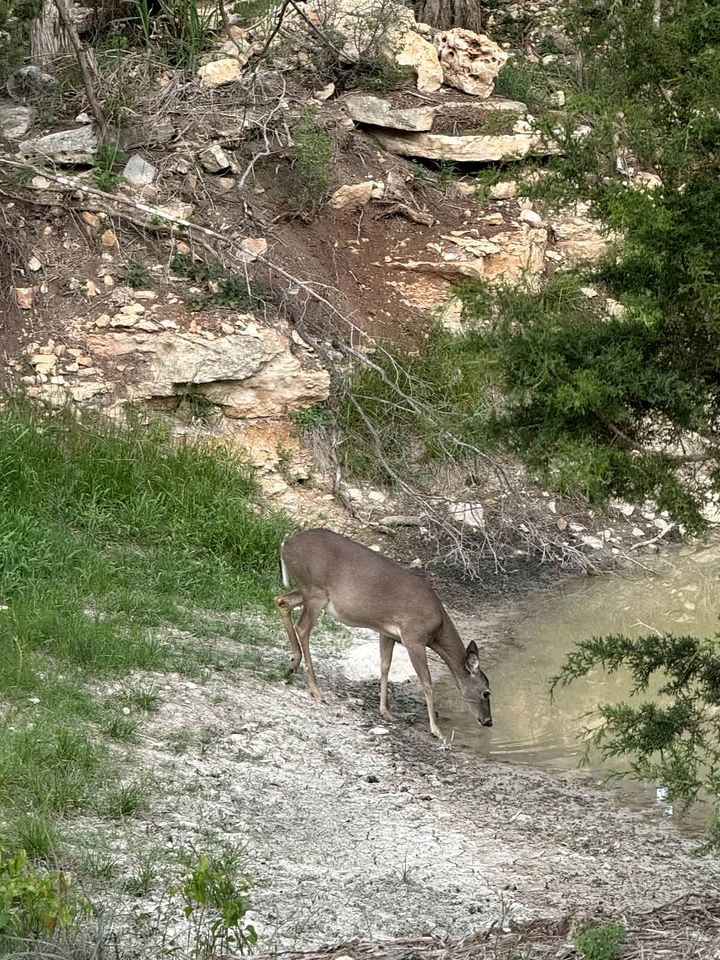 Rustic Western Cabin with Loft & Hot Tub Located Near Canyon Lake, Texas