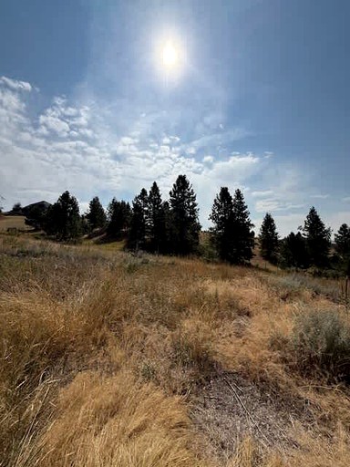 Vacation Rentals (United States of America, Spokane, Washington)