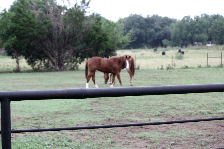 Barns (Weatherford, Texas, United States)