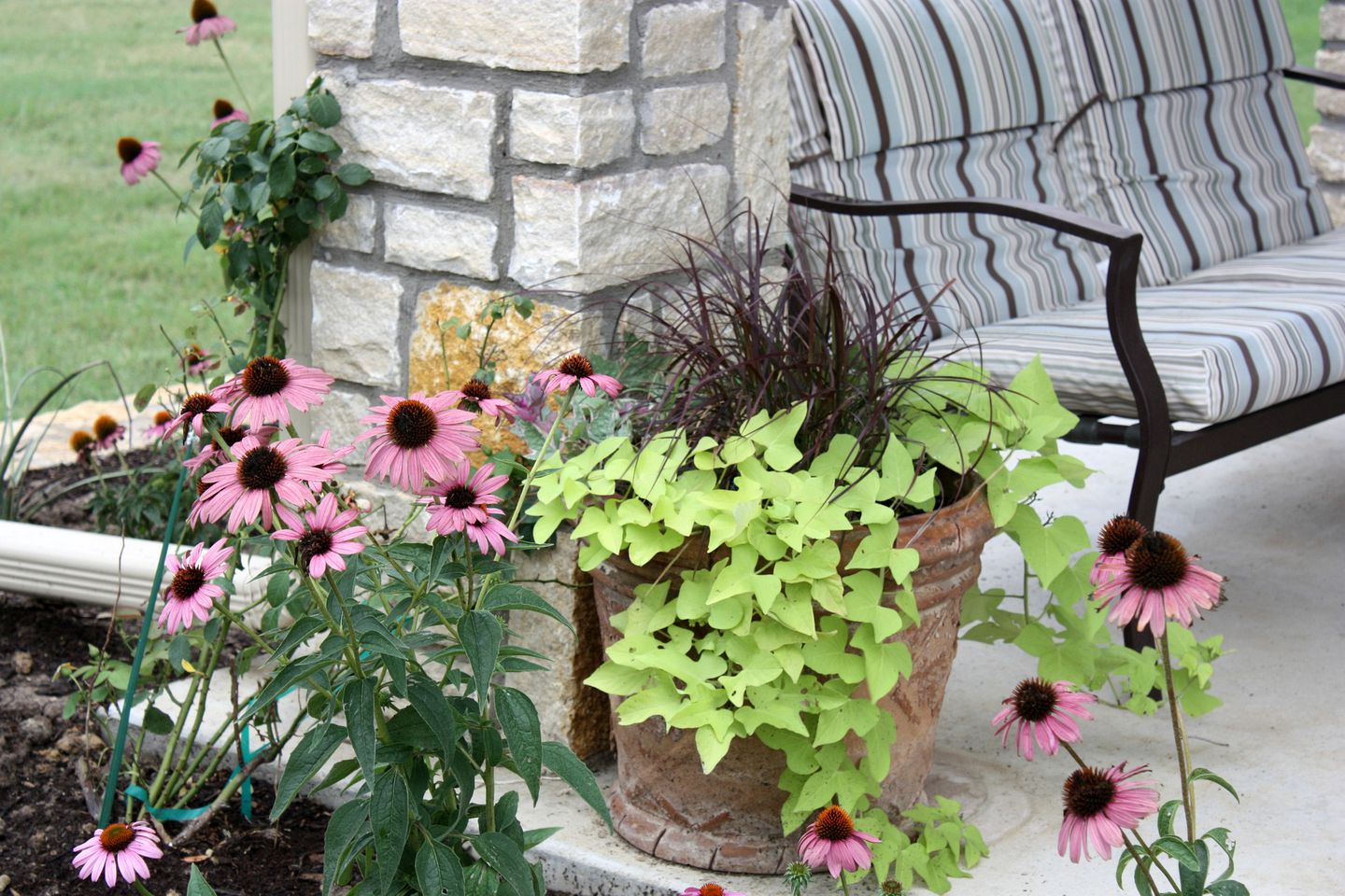 Peaceful Cottage on Farm in Idyllic Countryside near Fort Worth, Texas